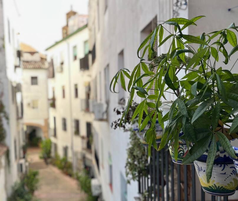 Apartamento Kenza Córdova Exterior foto