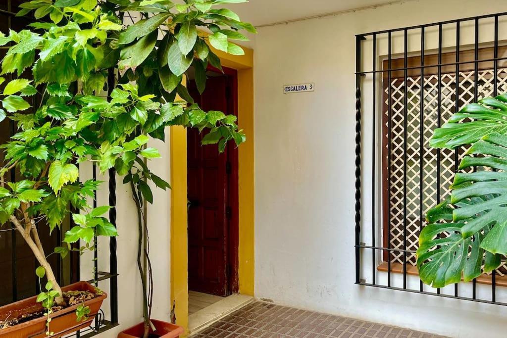 Apartamento Kenza Córdova Exterior foto
